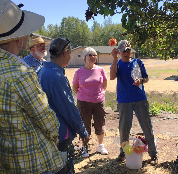 Lee Bowen teaching about dahlias at our "Work to Learn" Party. photo by Renne Emiko Brock