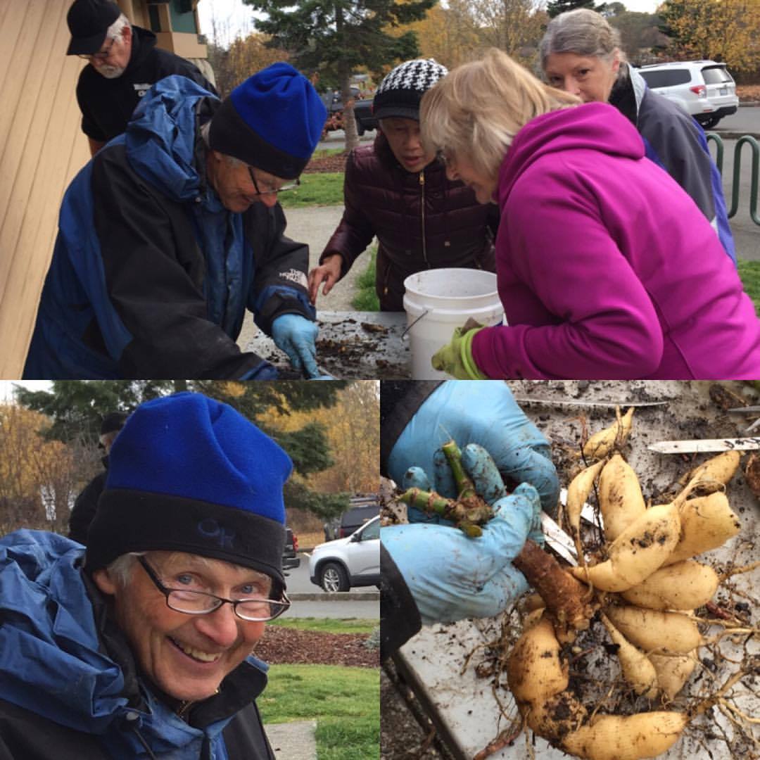 Lee Bowen teaching about wintering dahlias. photo by Renne Emiko Brock