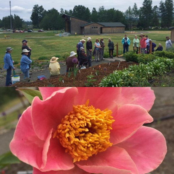 Peony "Work to Learn" Party lead by Jean Pier. photo by Renne Emiko Brock