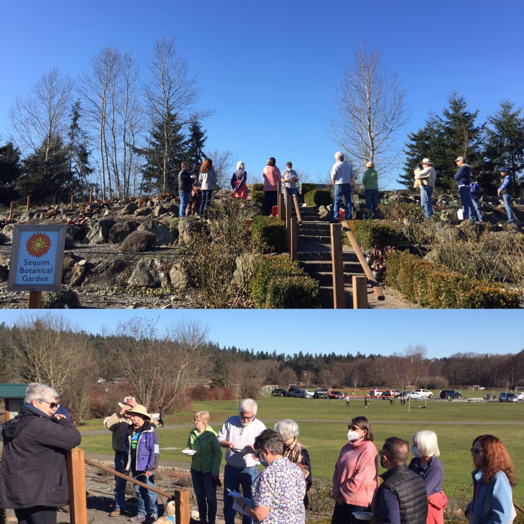 Gardener learning at the Sequim Botanical Garden